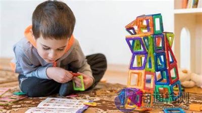 玩具產品安全指令2009/48/EC 玩具產品安全指令2009/48/EC